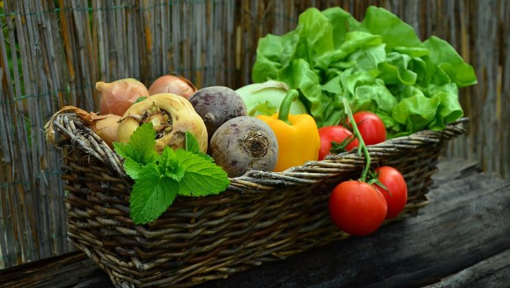 Hoe je een moestuin begint: startklaar voor de lente