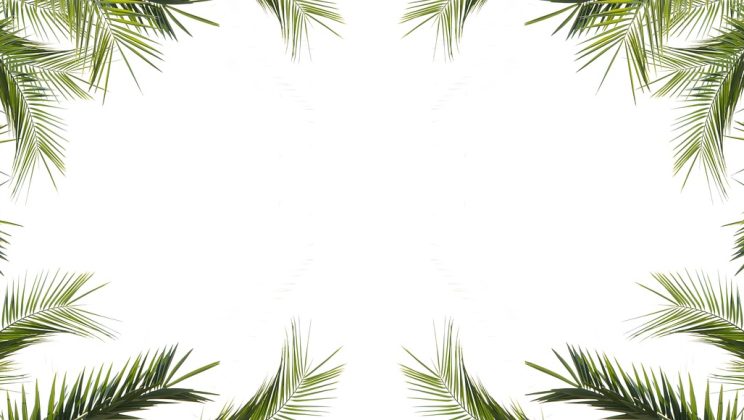 Prachtige decoraties voor de langste dag van het jaar: vier zomerzonnewende thuis
