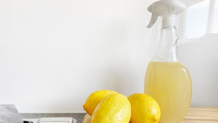 De rol van Citruskleuren in moderne keukeninrichting