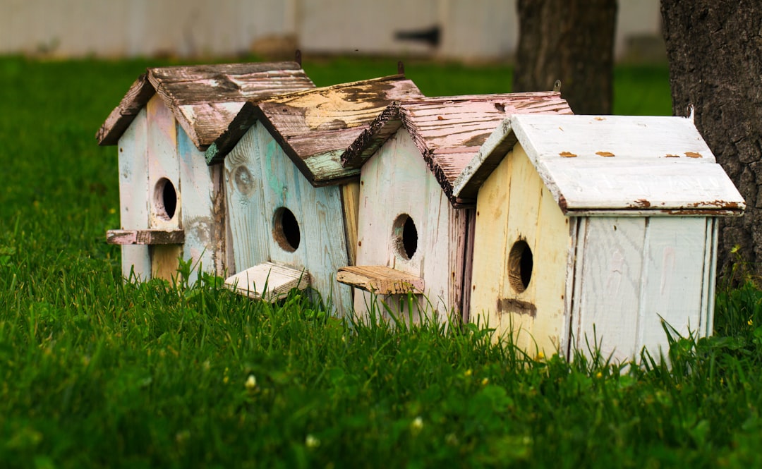 Vrolijke vogels badderen in tuinfontein. Vrolijke vogels badderen in tuinfontein.