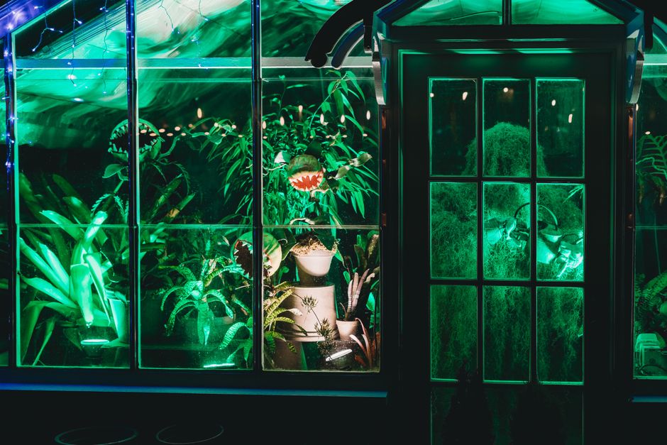 Groene bladeren gloeien zachtjes in de nacht. Groene bladeren gloeien zachtjes in de nacht.