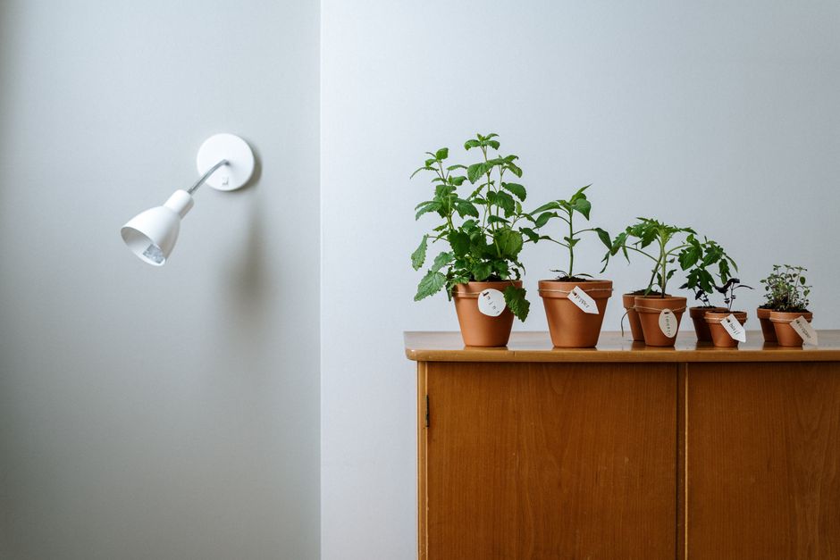 Moderne plantenpotten met sensoren voor stadsbewoners.