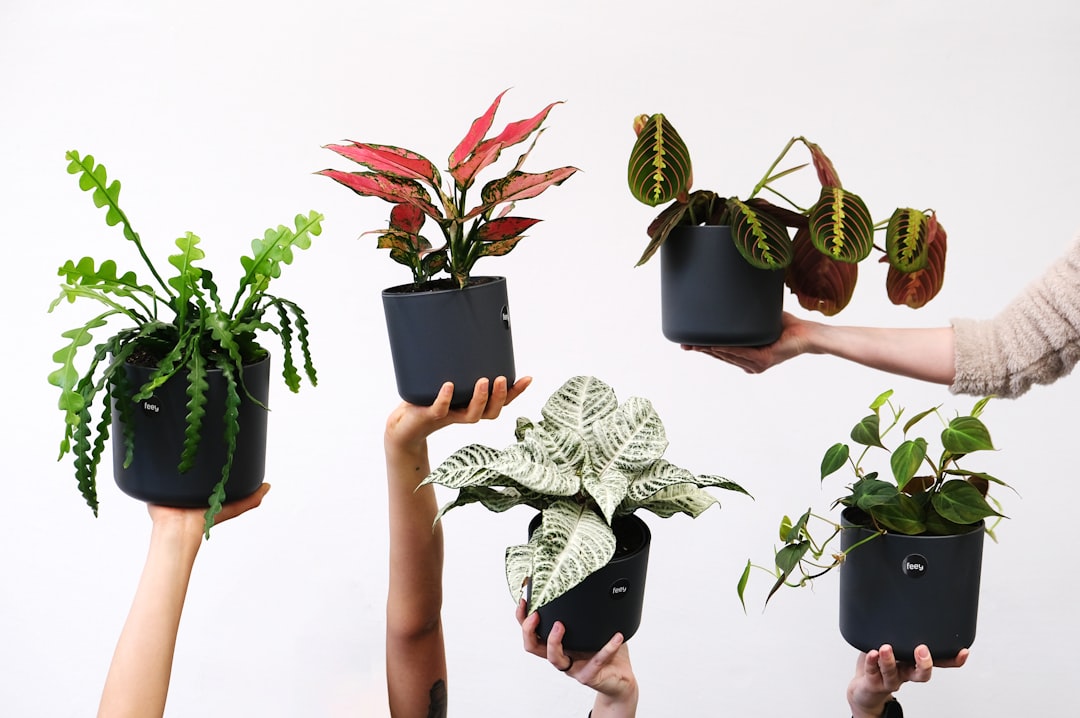 Slimme plantenpotten met automatische bewatering in appartement.
