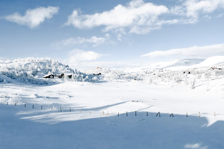 Noors winterlandschap canvas bij open haard.