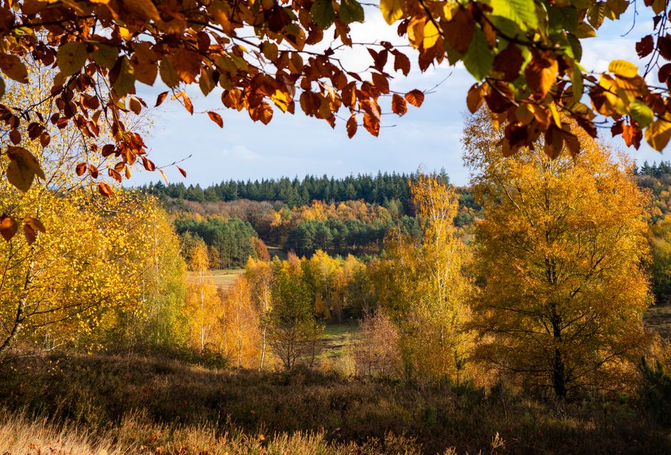 Gezellige eethoek met warme herfstkleuren. Gezellige eethoek met warme herfstkleuren.